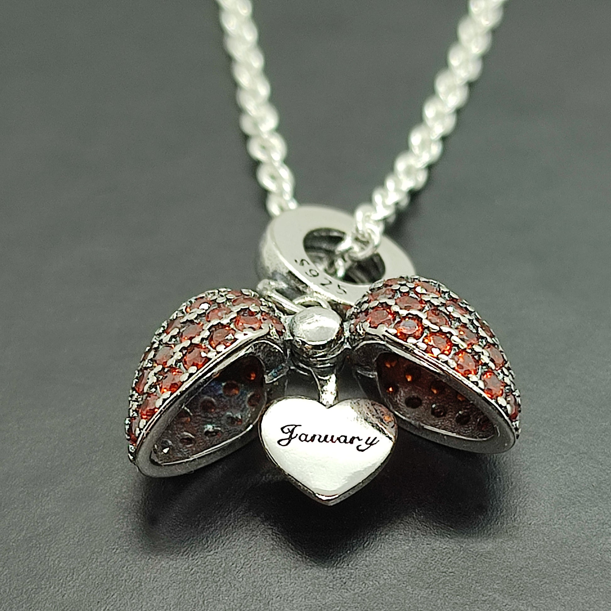 January Birthstone Pandora Necklace